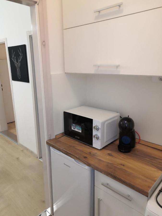 Belvarosi Lux Apartman วาชาโรชนาเมนี ภายนอก รูปภาพ