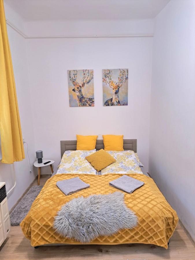 Belvarosi Lux Apartman วาชาโรชนาเมนี ภายนอก รูปภาพ