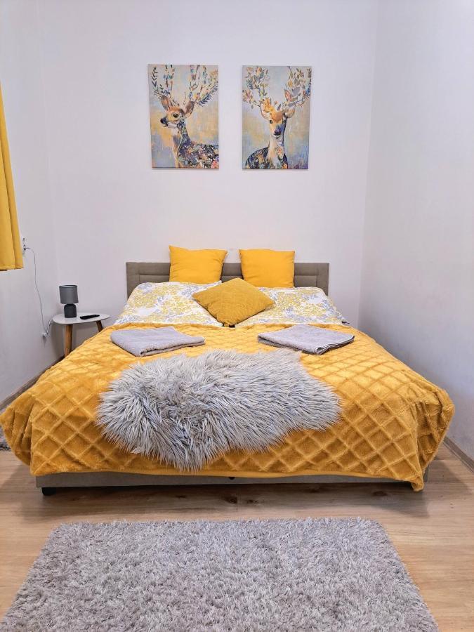 Belvarosi Lux Apartman วาชาโรชนาเมนี ภายนอก รูปภาพ